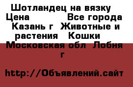 Шотландец на вязку › Цена ­ 1 000 - Все города, Казань г. Животные и растения » Кошки   . Московская обл.,Лобня г.